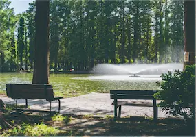 別所沼公園 風景4