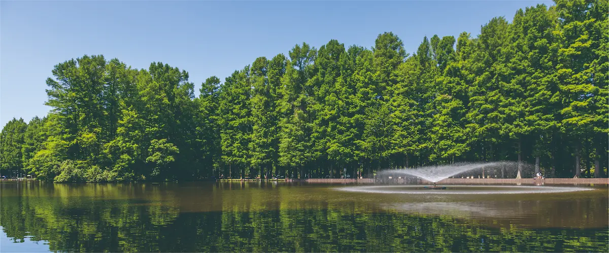 別所沼公園 風景